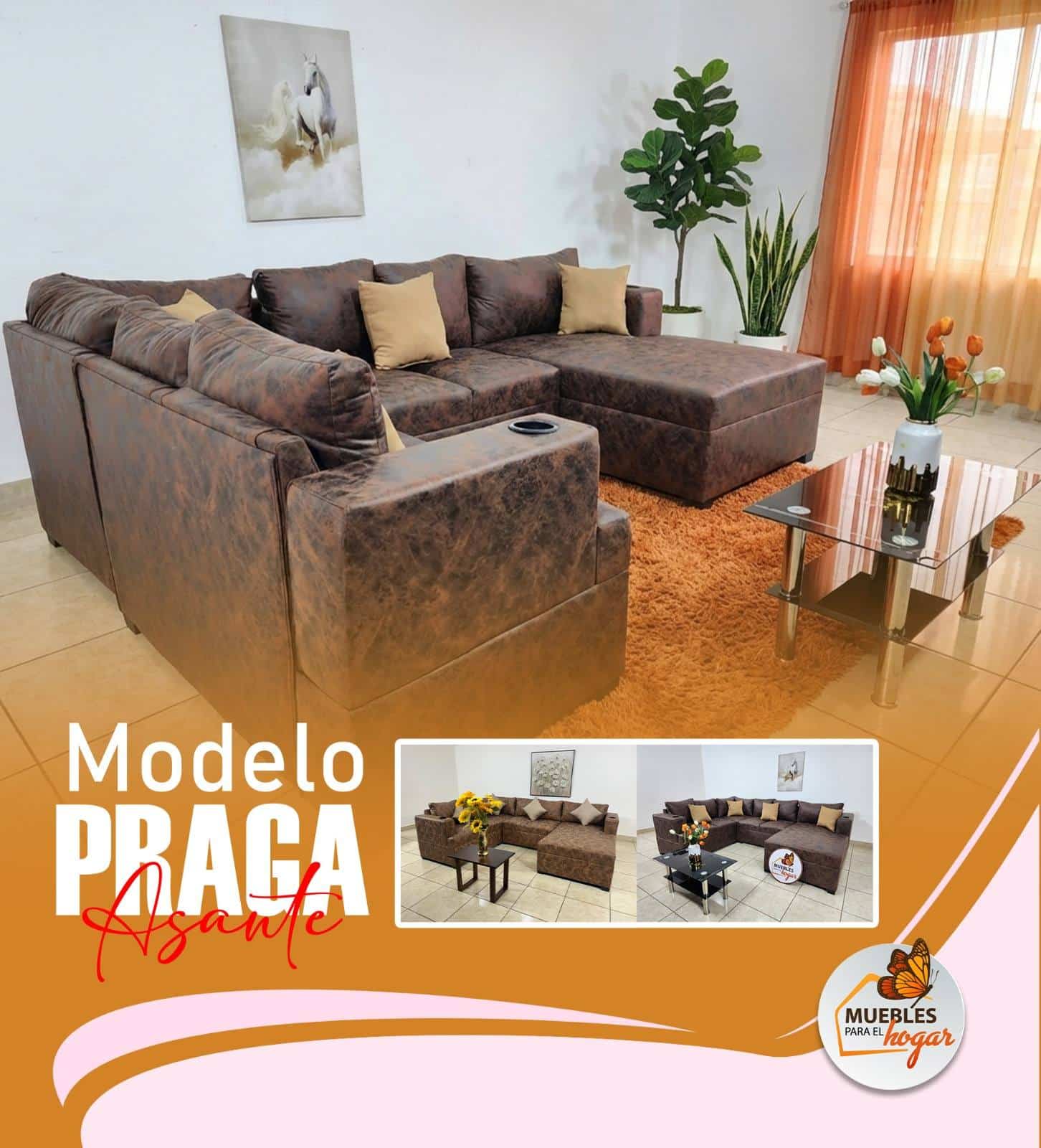 649669935_1325944459559250_1329053934033696223_n